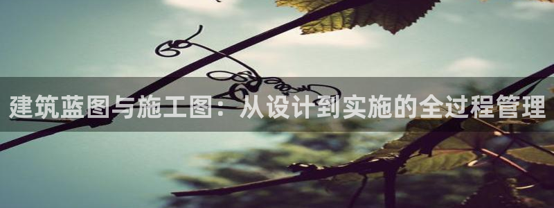 先锋娱乐管理集团：建筑蓝图与施工图：从设计到实施的全过程管理