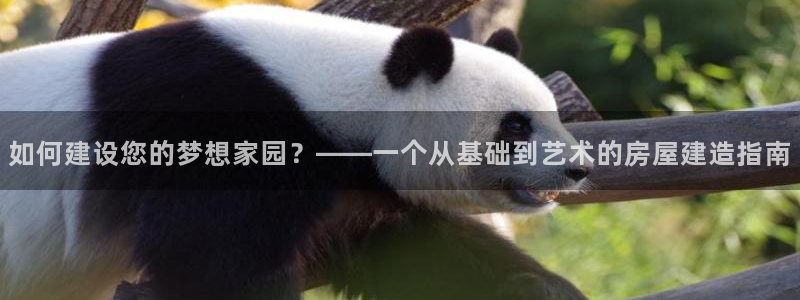 先锋娱乐体育：如何建设您的梦想家园？——一个从基础到艺术的房屋建造指南