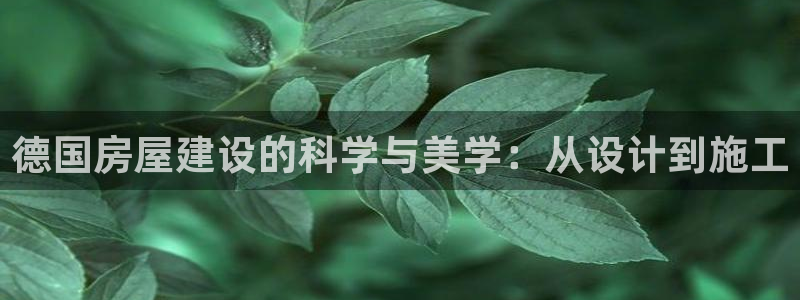 先锋娱乐社：德国房屋建设的科学与美学：从设计到施工
