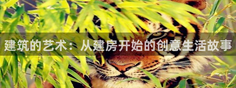 先锋娱乐团：建筑的艺术：从建房开始的创意生活故事