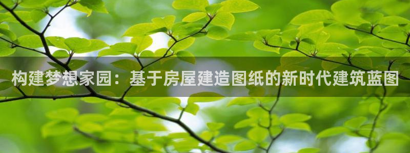 亚洲先锋娱乐招股：构建梦想家园：基于房屋建造图纸的新时代建筑蓝图