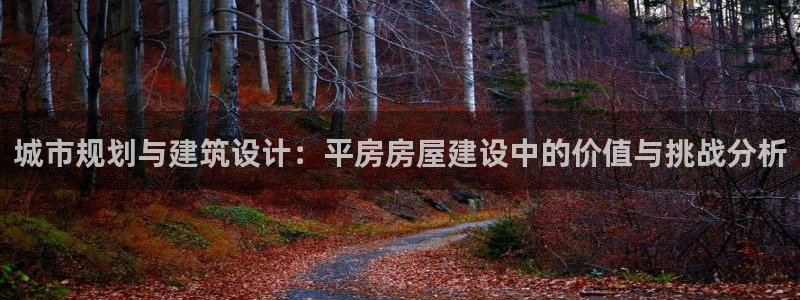 先锋娱乐账号：城市规划与建筑设计：平房房屋建设中的价值与挑战分析