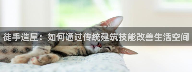 先锋娱乐股票：徒手造屋：如何通过传统建筑技能改善生活空间