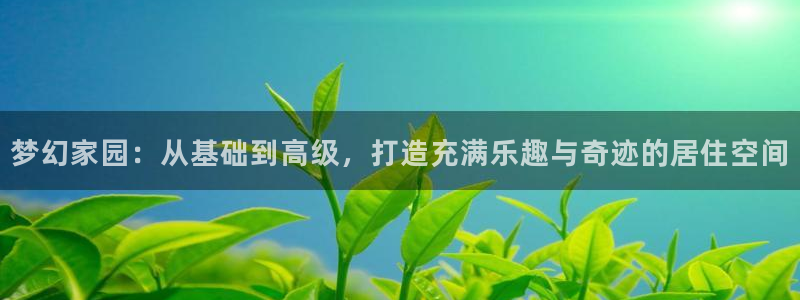 先锋娱乐官方：梦幻家园：从基础到高级，打造充满乐趣与奇迹的居住空间