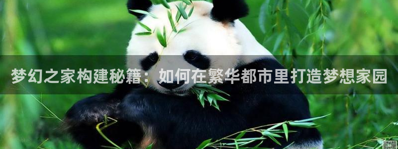 先锋娱乐集团：梦幻之家构建秘籍：如何在繁华都市里打造梦想家园