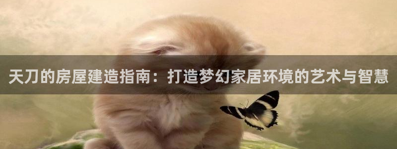 先锋娱乐扑克：天刀的房屋建造指南：打造梦幻家居环境的艺术与智慧