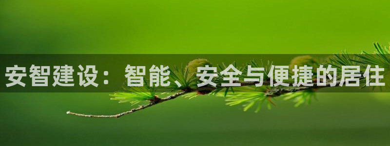 先锋娱乐团：安智建设：智能、安全与便捷的居住