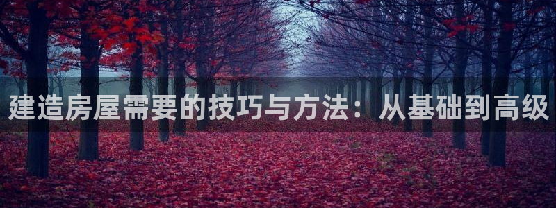 先锋娱乐挂：建造房屋需要的技巧与方法：从基础到高级
