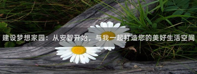 先锋娱乐平台：建设梦想家园：从安智开始，与我一起打造您的美好生活空间