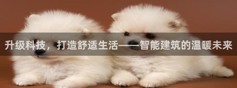 先锋娱乐游戏上分：升级科技，打造舒适生活——智能建筑的温暖未来