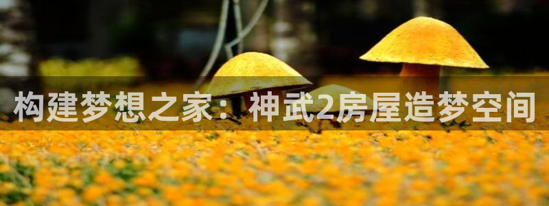 先锋娱乐体育管理集团：构建梦想之家：神武2房屋造梦空间