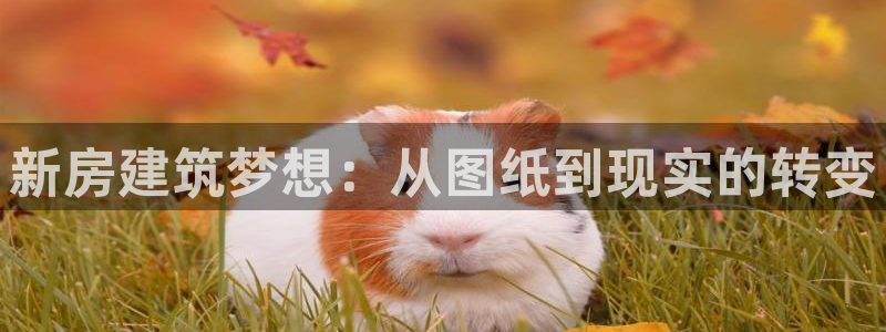 先锋娱乐游戏上分地址：新房建筑梦想：从图纸到现实的转变