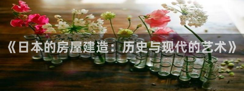 先锋娱乐注册：《日本的房屋建造：历史与现代的艺术》
