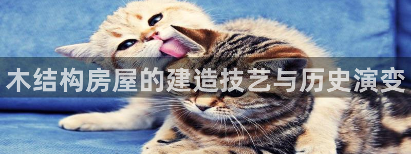 先锋综合娱乐：木结构房屋的建造技艺与历史演变
