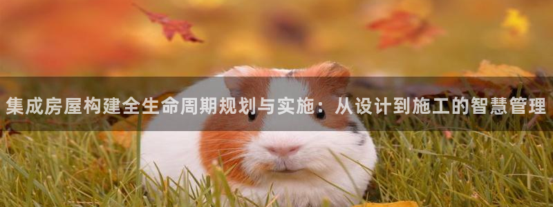 亚洲先锋娱乐跌：集成房屋构建全生命周期规划与实施：从设计到施工的智慧管理