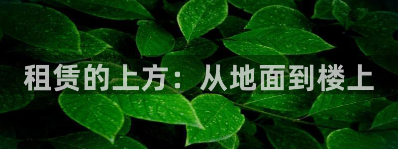 先锋电子旗下先锋娱乐：租赁的上方：从地面到楼上
