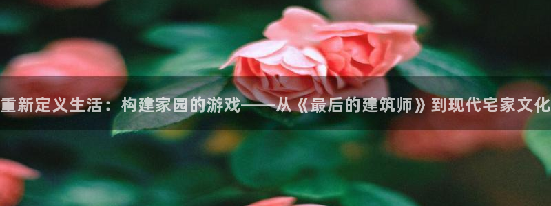 先锋娱乐大厅透视：重新定义生活：构建家园的游戏——从《最后的建筑师》到现代宅家文化