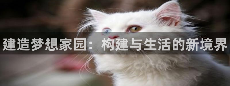 先锋娱乐集团：建造梦想家园：构建与生活的新境界