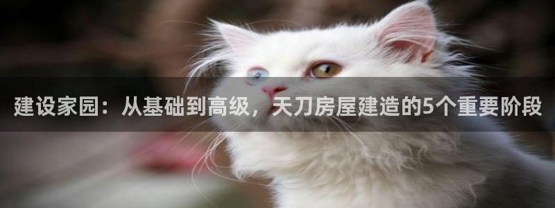 亚洲先锋娱乐招股：建设家园：从基础到高级，天刀房屋建造的5个重要阶段