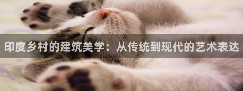先锋娱乐上分：印度乡村的建筑美学：从传统到现代的艺术表达