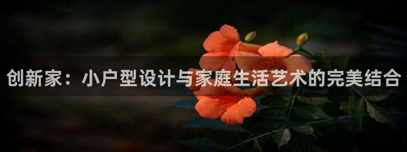 先锋娱乐在线：创新家：小户型设计与家庭生活艺术的完美结合