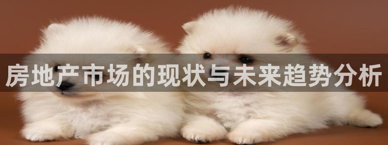 怎么下载先锋娱乐大厅：房地产市场的现状与未来趋势分析