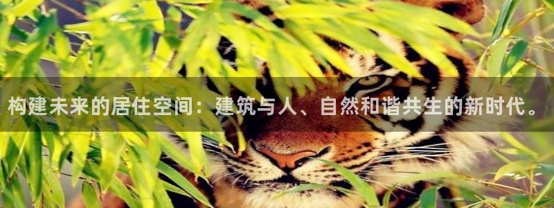 先锋娱乐入口：构建未来的居住空间：建筑与人、自然和谐共生的新时代。