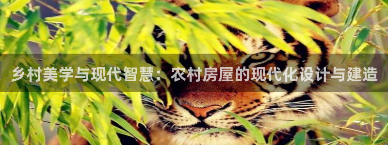 亚洲先锋娱乐行情：乡村美学与现代智慧：农村房屋的现代化设计与建造