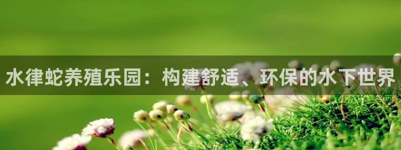 先锋娱乐游戏上分地址：水律蛇养殖乐园：构建舒适、环保的水下世界