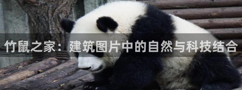 先锋娱乐账号：竹鼠之家：建筑图片中的自然与科技结合