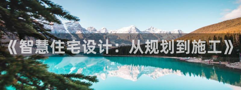 先锋娱乐理财logo：《智慧住宅设计：从规划到施工》