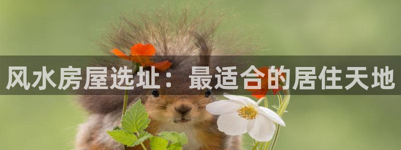 先锋娱乐棋牌有挂吗：风水房屋选址：最适合的居住天地