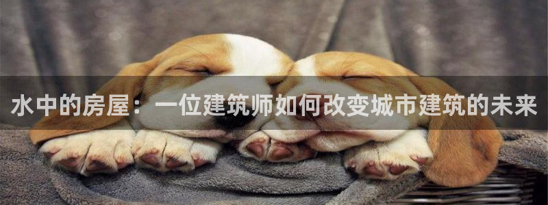 先锋岛娱乐：水中的房屋：一位建筑师如何改变城市建筑的未来