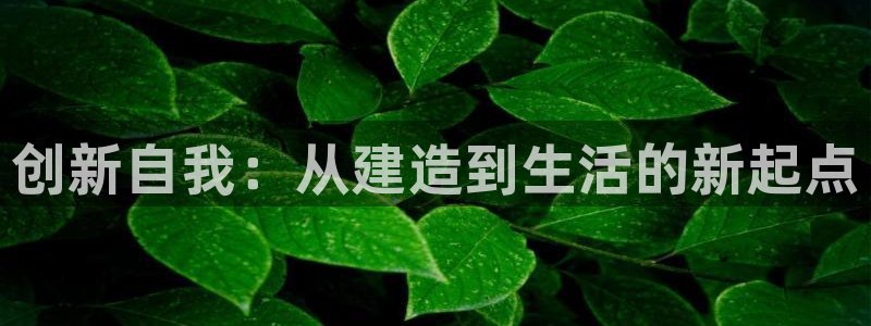 先锋娱乐在线：创新自我：从建造到生活的新起点