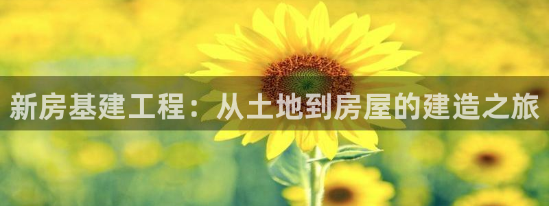 亚洲先锋娱乐登录：新房基建工程：从土地到房屋的建造之旅