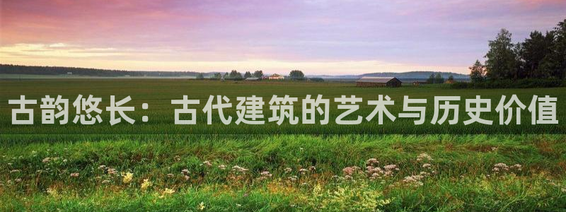 先锋游戏娱乐：古韵悠长：古代建筑的艺术与历史价值