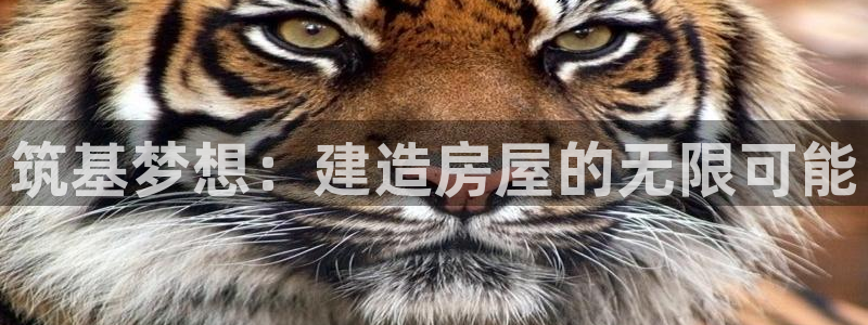 先锋娱乐股票：筑基梦想：建造房屋的无限可能