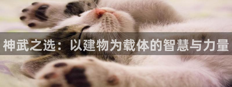 先锋娱乐资讯官网入口：神武之选：以建物为载体的智慧与力量