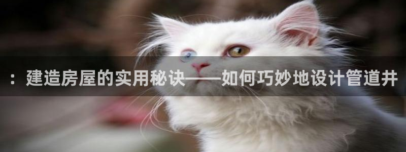 先锋娱乐大厅牛牛：：建造房屋的实用秘诀——如何巧妙地设计管道井