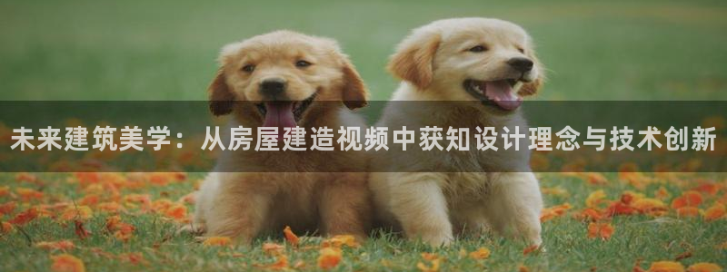 先锋娱乐官网：未来建筑美学：从房屋建造视频中获知设计理念与技术创新