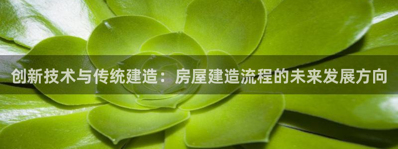 先锋电子车载娱乐系统：创新技术与传统建造：房屋建造流程的未来发展方向