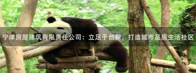 先锋娱乐注册：宁津房屋建筑有限责任公司：立足于创新，打造城市品质生活社区