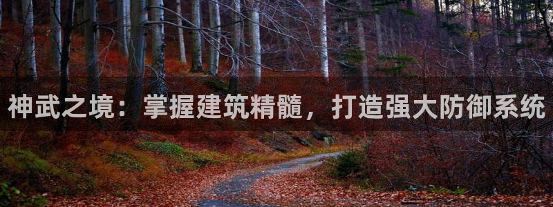 先锋娱乐棋牌有挂吗：神武之境：掌握建筑精髓，打造强大防御系统