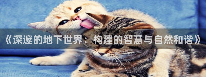 时代先锋娱乐