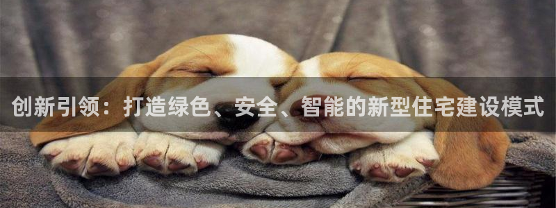 怎么下载先锋娱乐大厅：创新引领：打造绿色、安全、智能的新型住宅建设模式