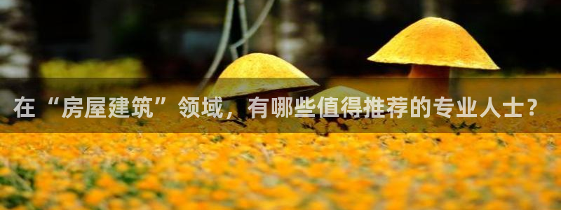 先锋娱乐传媒：在“房屋建筑”领域，有哪些值得推荐的专业人士？