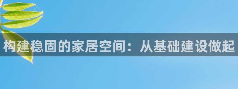 先锋娱乐管理集团怎么样：构建稳固的家居空间：从基础建设做起
