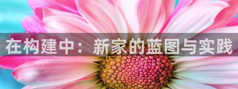 先锋娱乐扑克：在构建中：新家的蓝图与实践