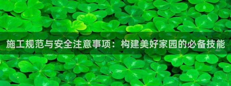 先锋娱乐客服：施工规范与安全注意事项：构建美好家园的必备技能
