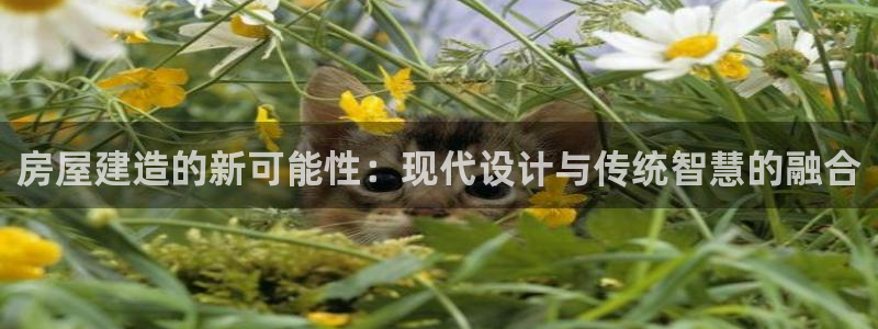 先锋互动娱乐：房屋建造的新可能性：现代设计与传统智慧的融合